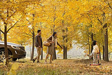 《红霞岛》官方PC系统配置需求公布 推荐2070